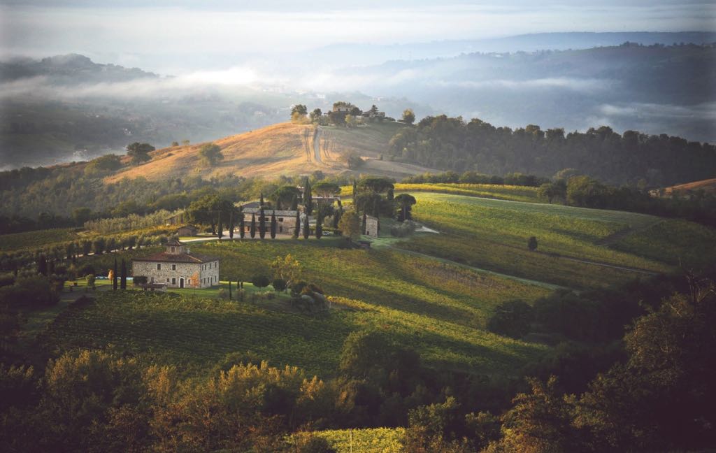 DALLE CENERI DEL VULCANO ALL'ECCELLENZA DEL VINO